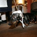 Modenschau der Altriper Tracht 2007 - 019